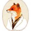 MRFox
